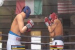 Fight Night Round 3 (PlayStation 2)