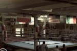 Fight Night Round 3 (Xbox 360)