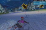 Bode Miller Alpine Skiing (PlayStation 2)