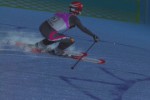 Bode Miller Alpine Skiing (PlayStation 2)