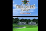 True Swing Golf (DS)