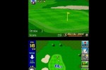True Swing Golf (DS)