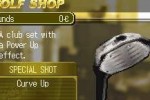 True Swing Golf (DS)