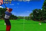 True Swing Golf (DS)