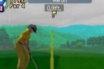 True Swing Golf (DS)