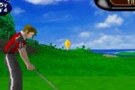 True Swing Golf (DS)