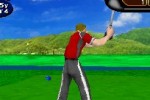 True Swing Golf (DS)