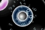 Electroplankton (DS)