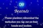 Electroplankton (DS)