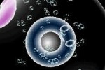 Electroplankton (DS)