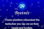 Electroplankton (DS)