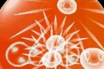 Electroplankton (DS)