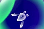 Electroplankton (DS)