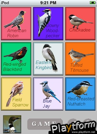 Pretty Bird Piano (iPhone/iPod)
