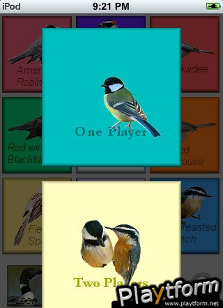 Pretty Bird Piano (iPhone/iPod)