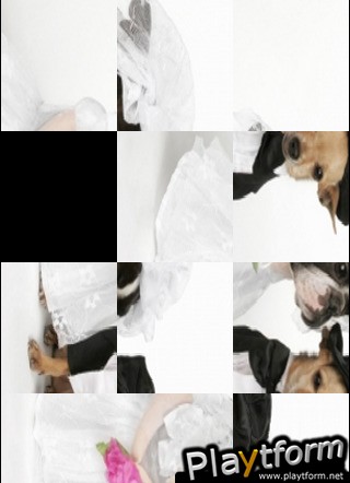 Dog Wedding Slide Puzzle (iPhone/iPod)