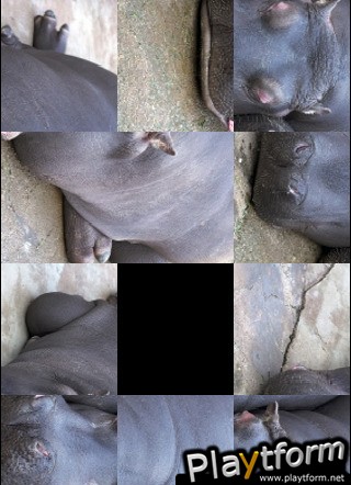 Lazy Hippos Slide Puzzle (iPhone/iPod)