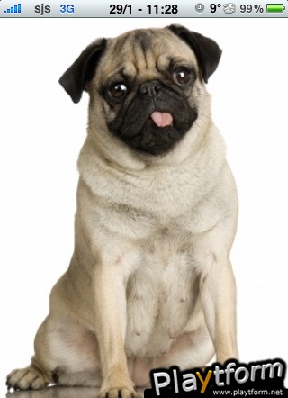 Pug Slide Puzzle (iPhone/iPod)