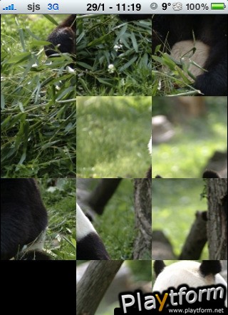 Giant Panda Slide Puzzle (iPhone/iPod)