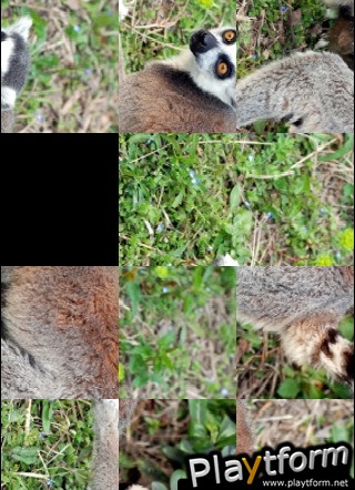 Lemur Slide Puzzle (iPhone/iPod)