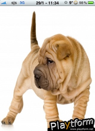 Sharpei Slide Puzzle (iPhone/iPod)