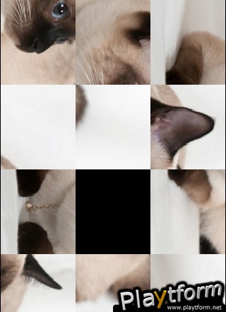 Siamese Cat Slide Puzzle (iPhone/iPod)