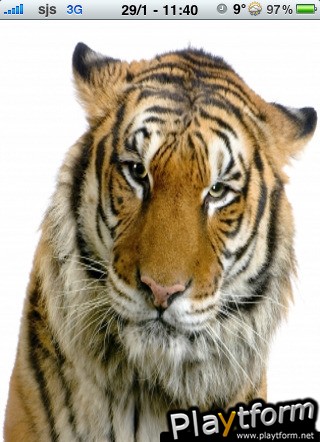 Tiger Slide Puzzle (iPhone/iPod)