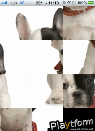 French Bulldog Slide Puzzle (iPhone/iPod)