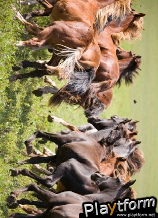 Galloping Horses Slide Puzzle (iPhone/iPod)