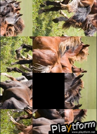Galloping Horses Slide Puzzle (iPhone/iPod)