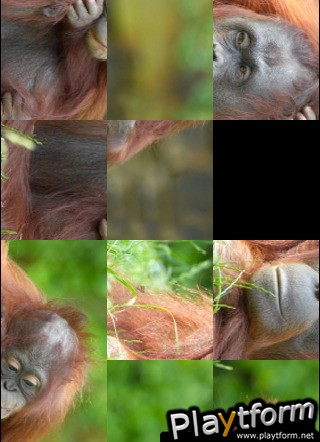 Orangutan Family Slide Puzzle (iPhone/iPod)