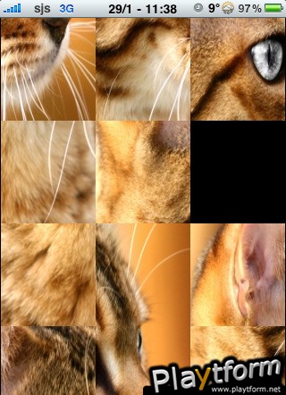 Silver Eyed Cat Slide Puzzle (iPhone/iPod)