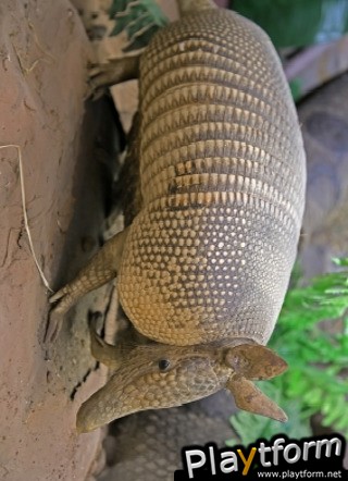 Armadillo Slide Puzzle (iPhone/iPod)