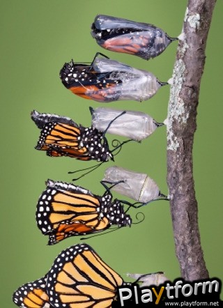 Butterflies Slide Puzzle (iPhone/iPod)