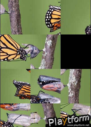 Butterflies Slide Puzzle (iPhone/iPod)