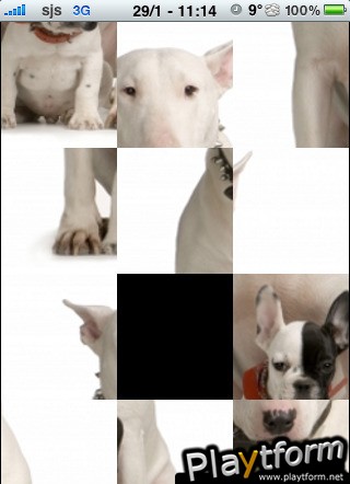 Bull Terrier with a puppy Slide Puzzle (iPhone/iPod)