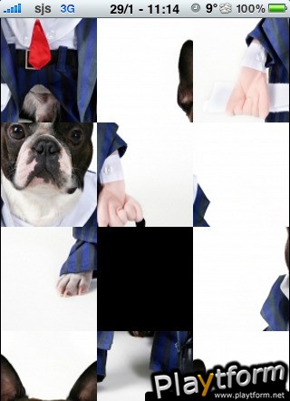 Business Man Dog Slide Puzzle (iPhone/iPod)