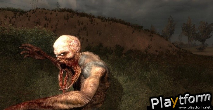 S.T.A.L.K.E.R.: Call of Pripyat (PC)