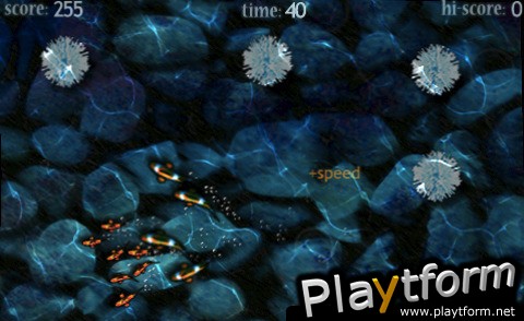 bait (iPhone/iPod)