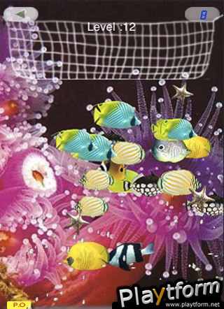 iCatchDaFish (iPhone/iPod)