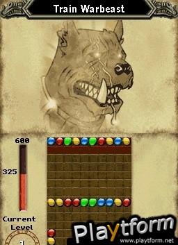 Puzzle Chronicles (DS)
