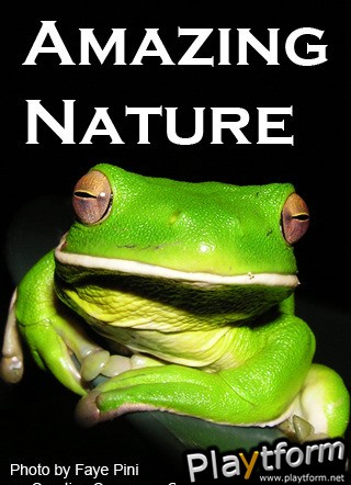 Amazing Wild Nature Puzzle (iPhone/iPod)