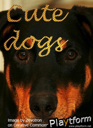 Cute Dogs Puzzle (iPhone/iPod)