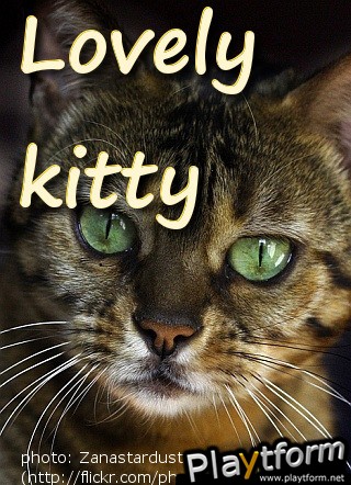 Lovely Kitty Puzzle (iPhone/iPod)