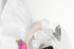 Dog Wedding Slide Puzzle (iPhone/iPod)