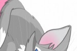 Kitty Cat Slide Puzzle (iPhone/iPod)