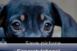 Cute Dogs Puzzle (iPhone/iPod)