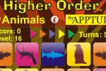 Higher Order - The Animals (iPhone/iPod)