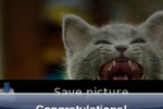 Lovely Kitty Puzzle (iPhone/iPod)