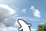 Real Fishing (iPhone/iPod)